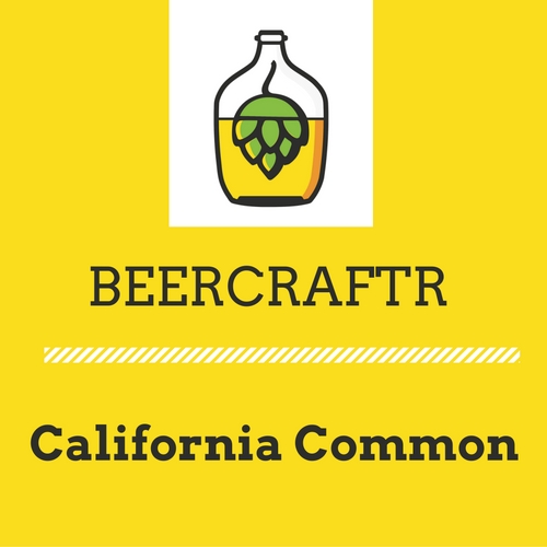 1 Gallon California Common Beer Recipe BeerCraftr 1 gallon california common beer recipe beercraftr