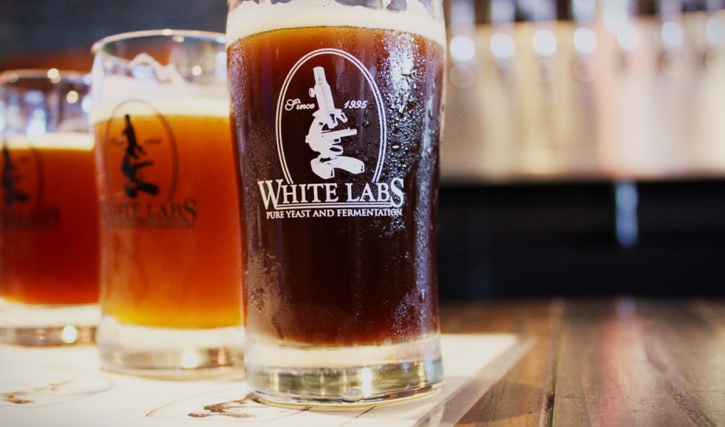 The most comprehensive yeast list BEER CRAFTR