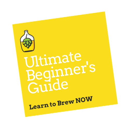 Learn to Brew Beer