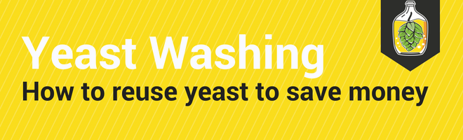 Yeast Washing